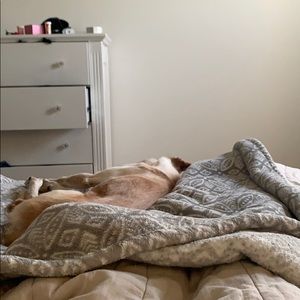 Meet your Posher, Ella